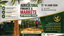 Your Invitation to Scale: AgLeaseCo & Global Grains networking event