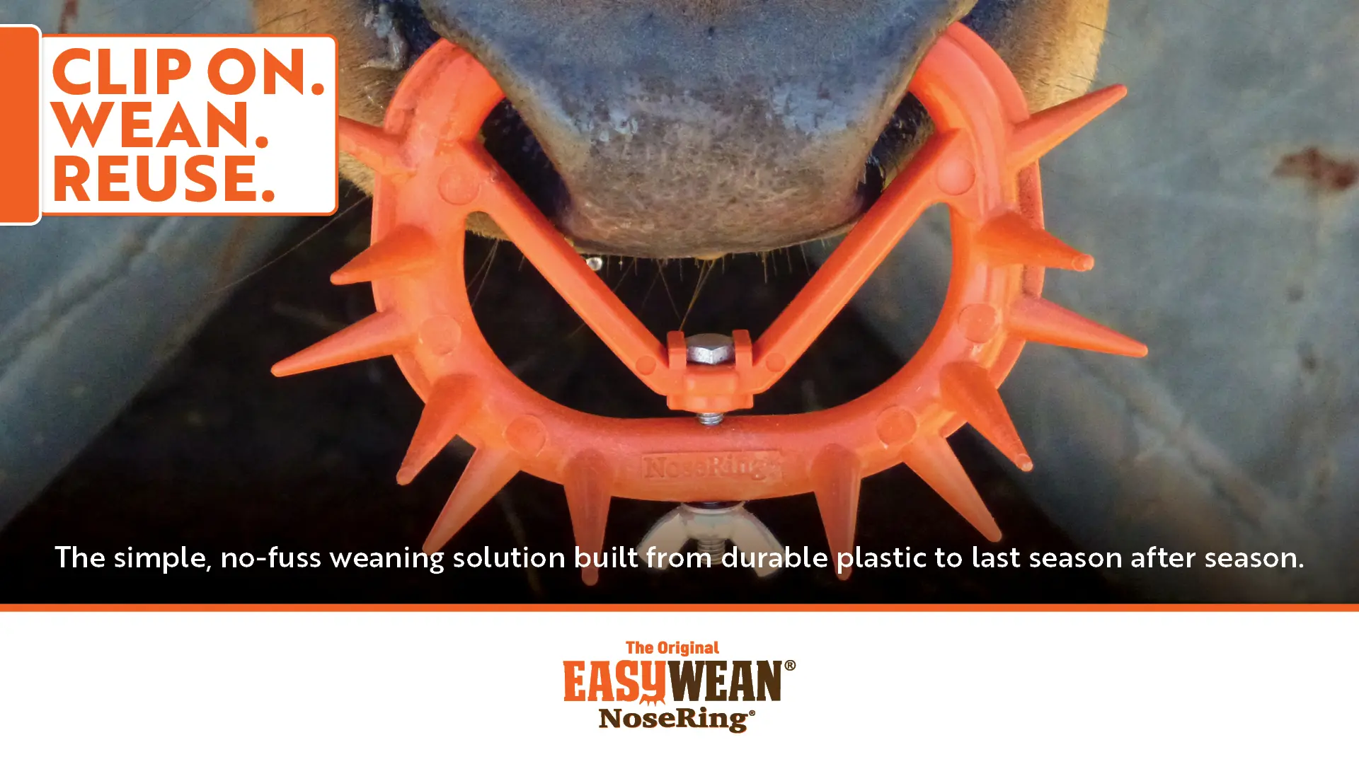 The simple, no-fuss weaning solution built from durable plastic to last season after season | EASYWEAN® NoseRing®