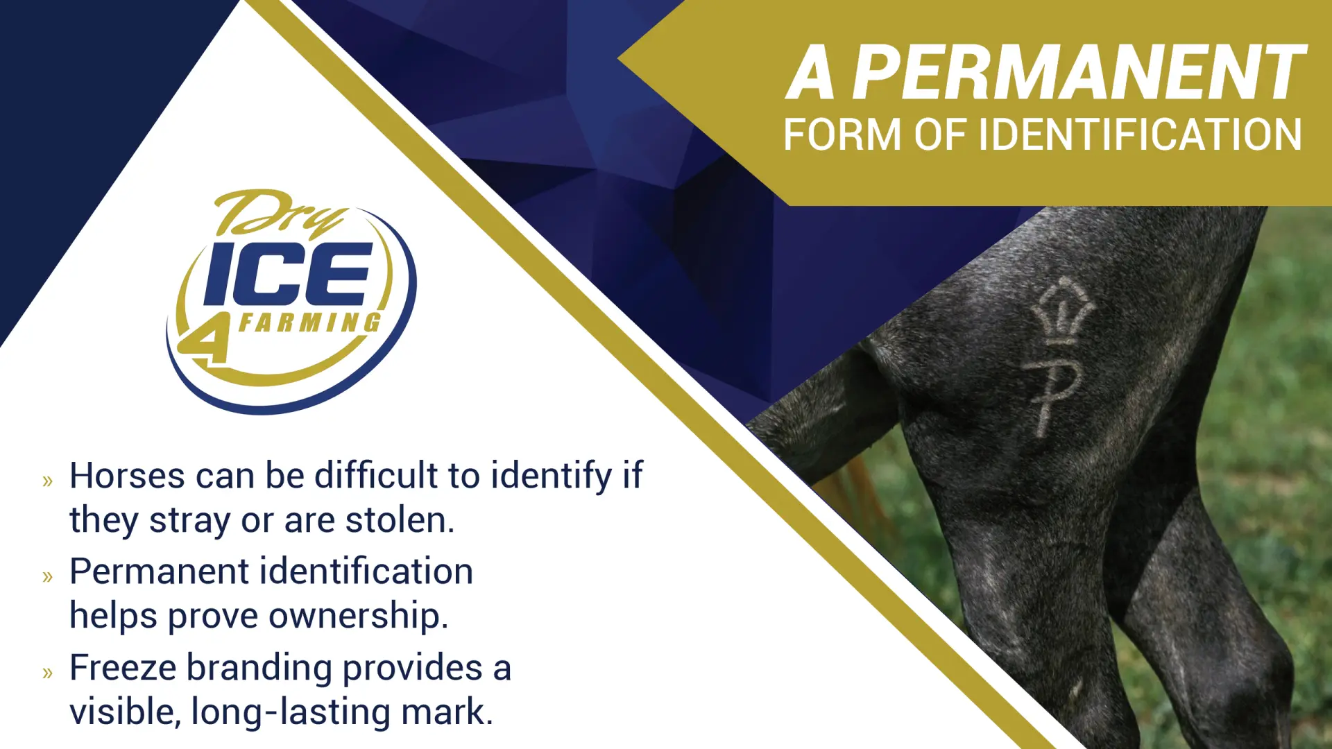 Permanent identification helps prove ownership | Dry Ice 4 Farming