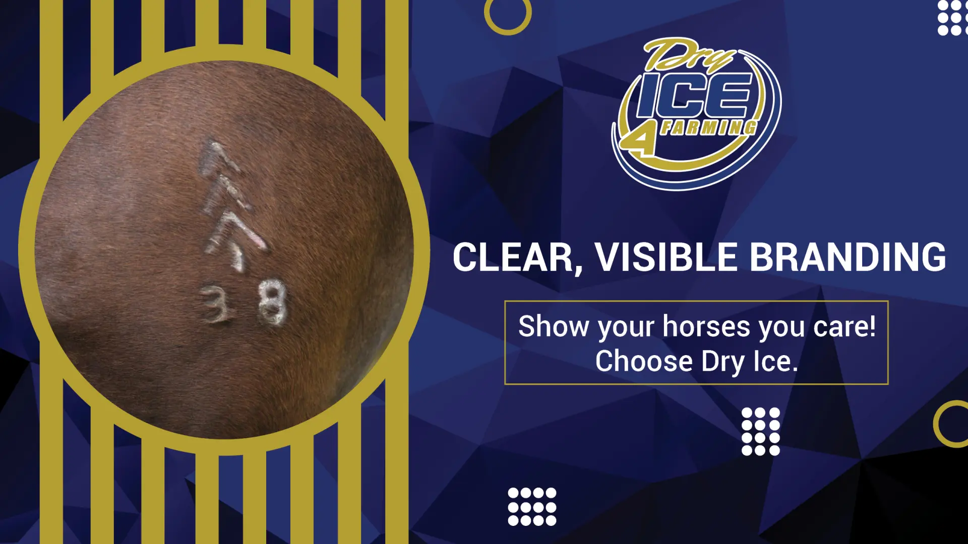 Clear, Visible Branding | Show your horses you care! | Dry Ice 4 Farming