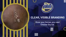 Clear, Visible Branding | Show your horses you care! | Dry Ice 4 Farming