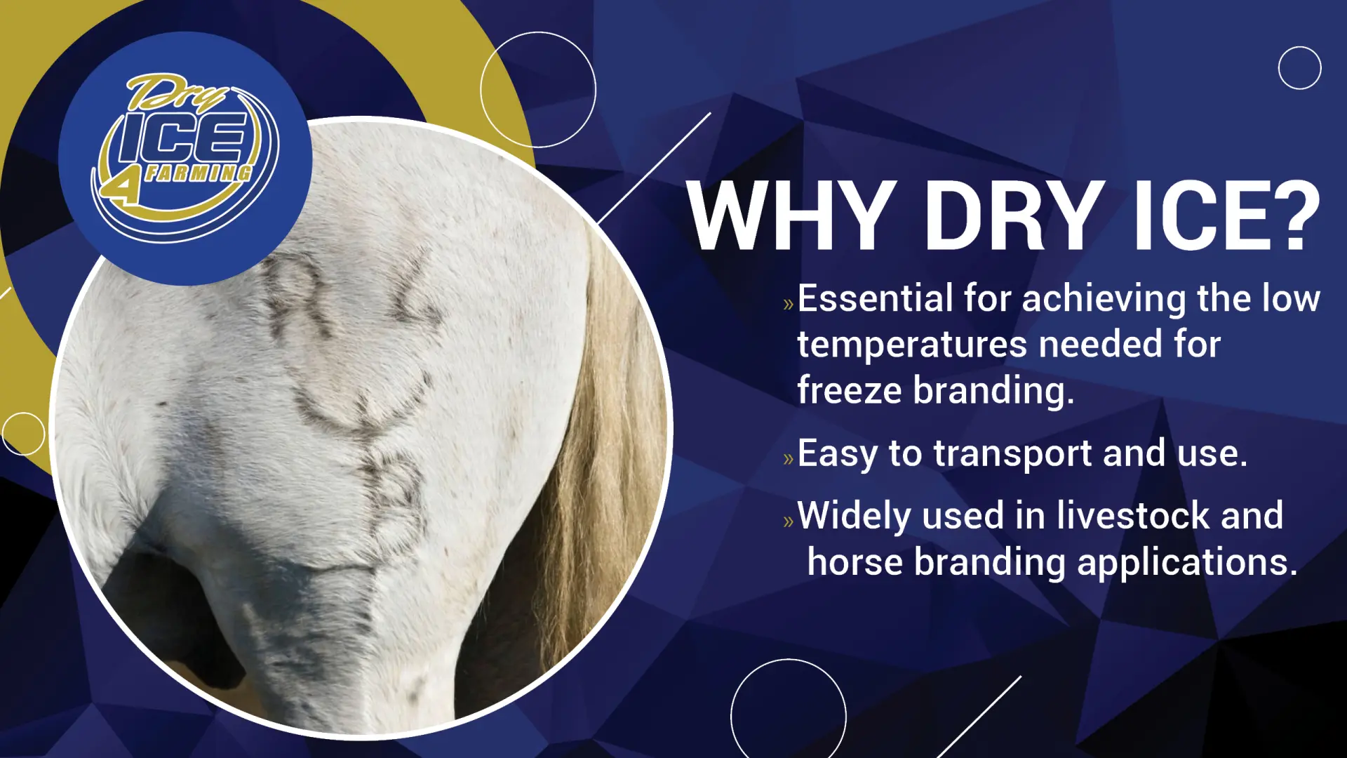 Why Dry Ice? Widely used in livestock and horse branding applications | Dry Ice 4 Farming