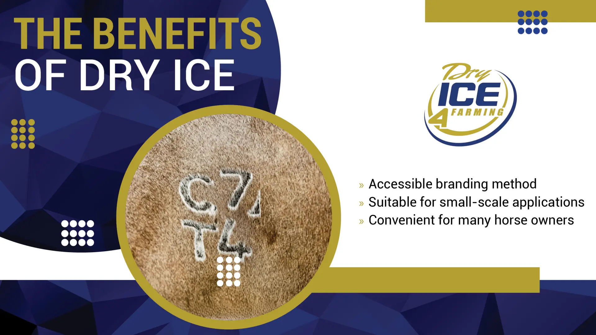 The Benefits of Dry Ice Freeze branding | Dry Ice 4 Farming