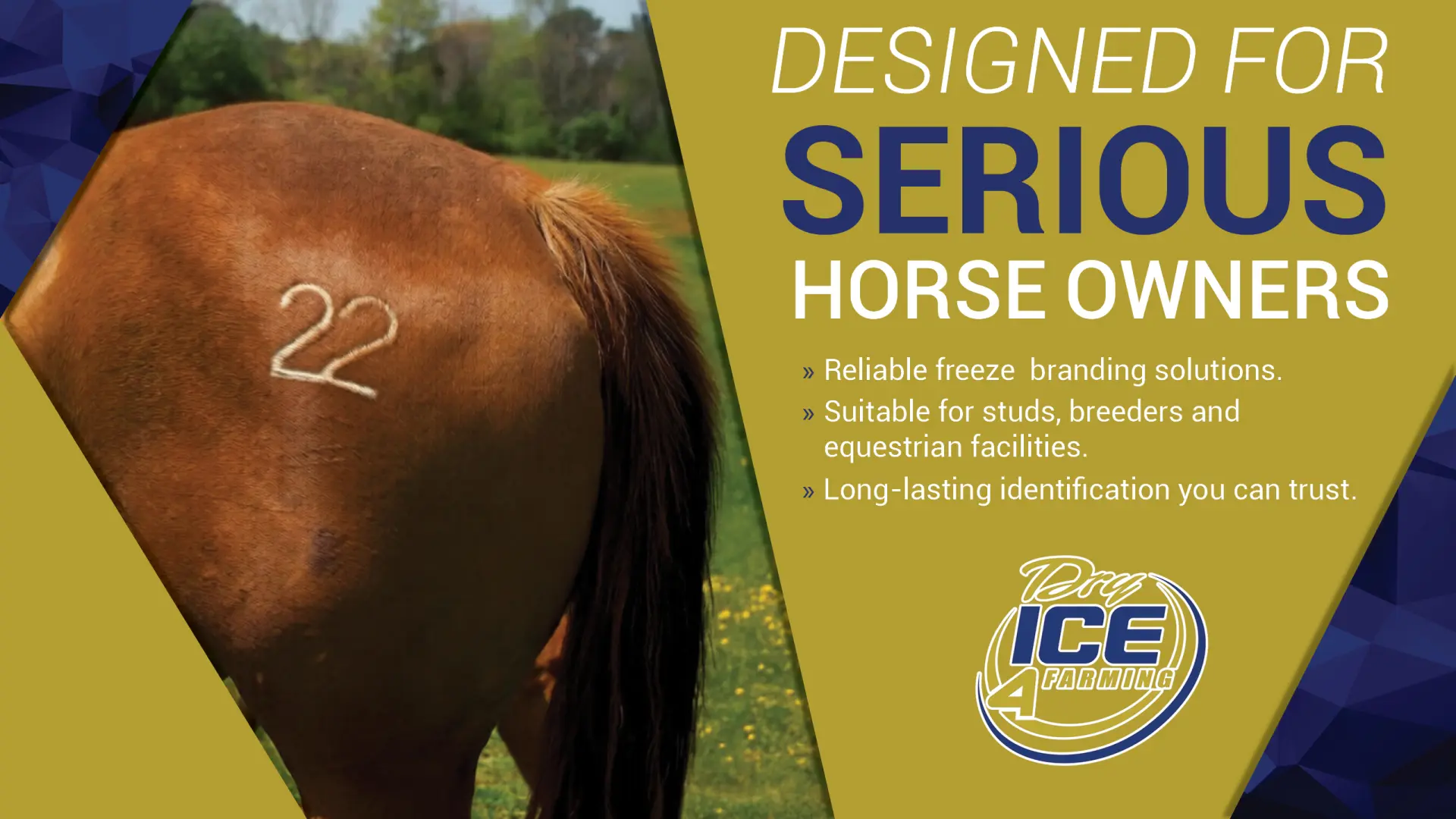 Designed for Serious Horse Owners | Reliable freeze branding solutions | Dry Ice 4 Farming