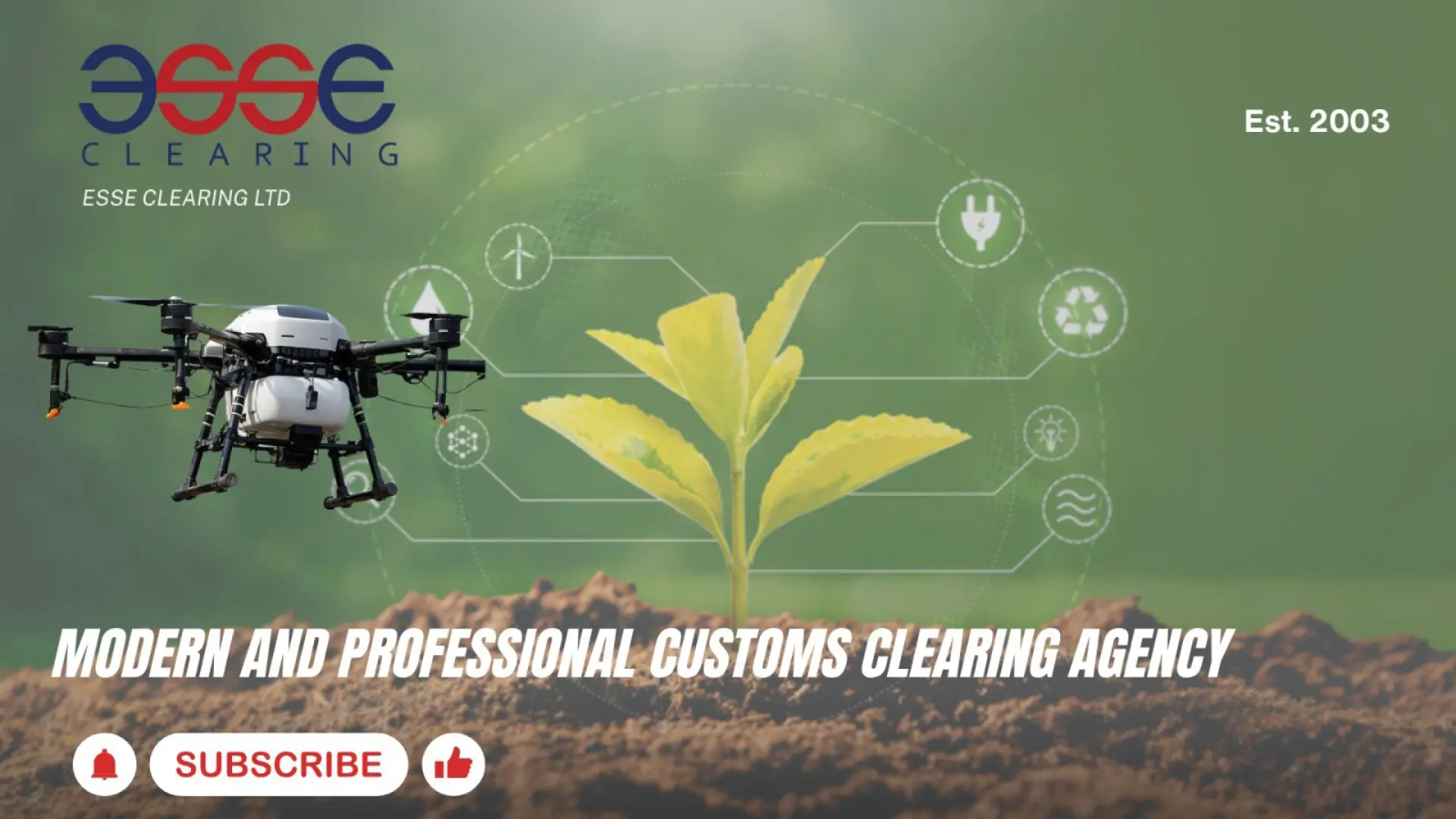 Modern and professional customs clearing agency | ESSE Clearing 
