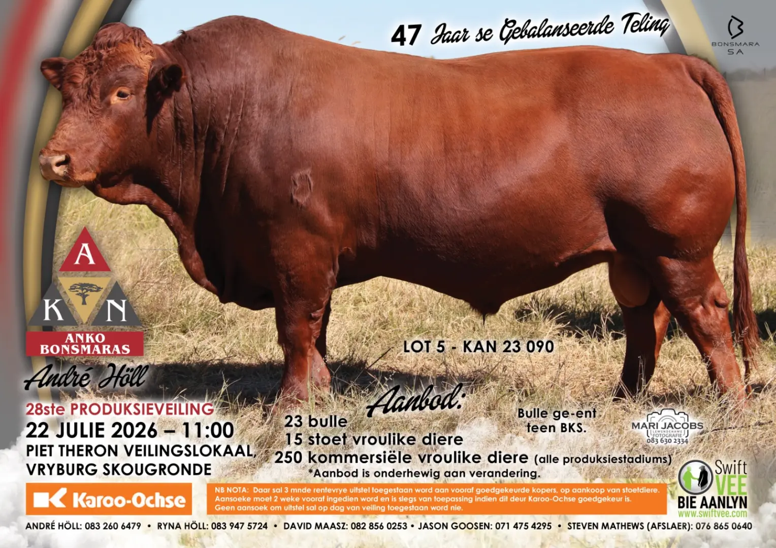 Dagboek die datum!! | Anko Bonsmaras se 28ste Produksieveiling | 22 Julie 2026 | 11:00 | Vryburg Skougronde