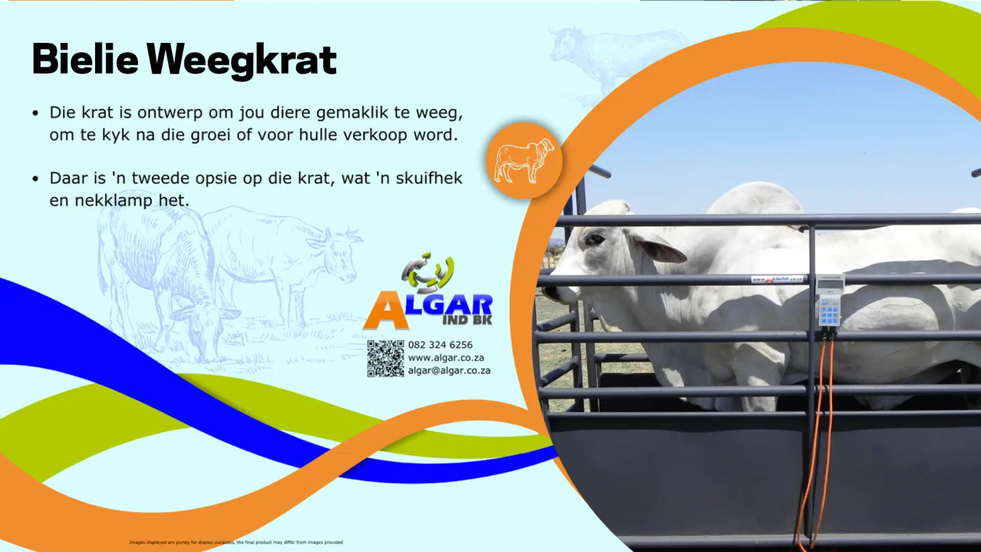 Bielie standard weigh crate / Bielie standaard weegkrat | Algar