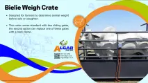 Bielie standard weigh crate / Bielie standaard weegkrat | Algar