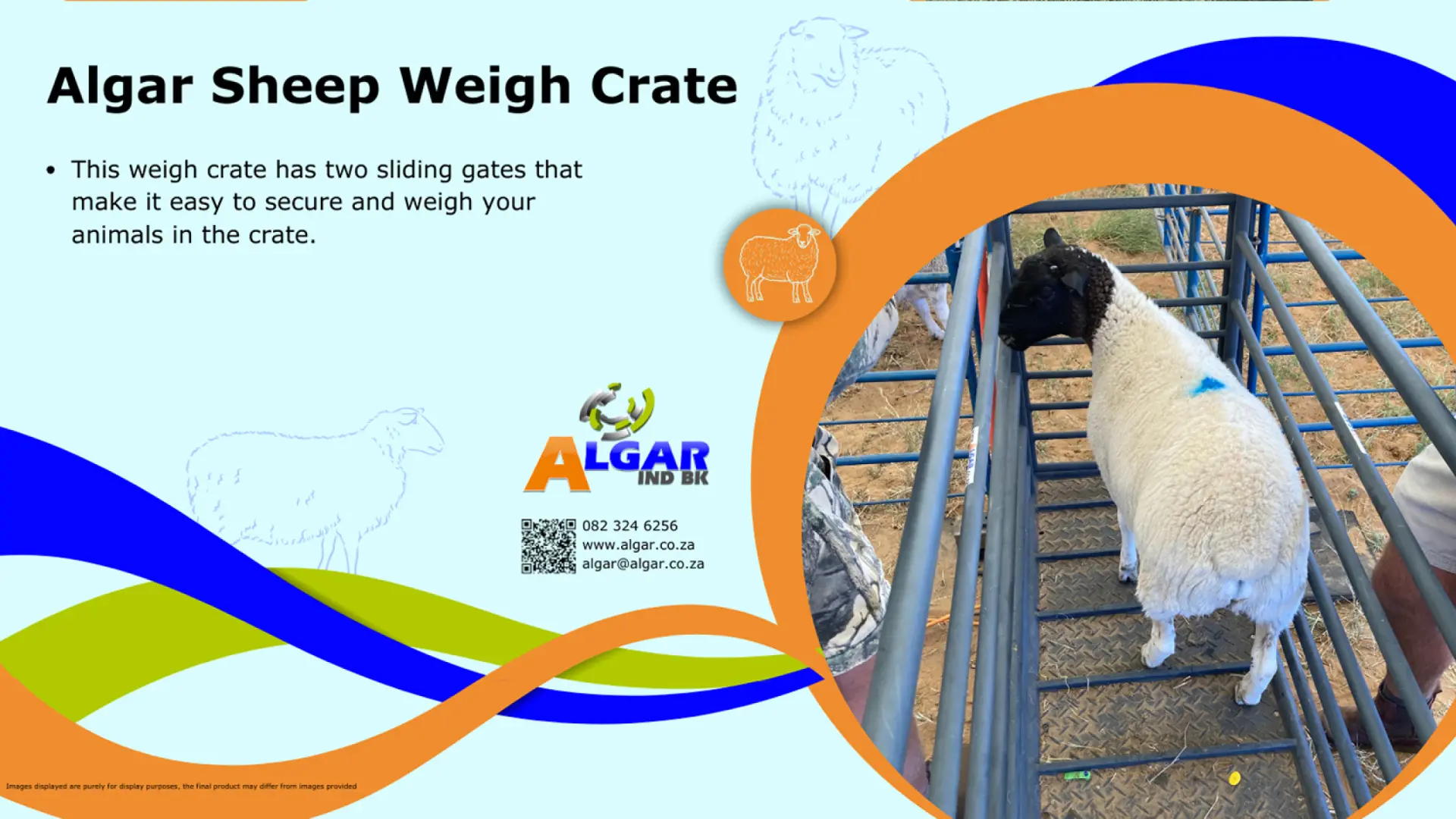 Algar sheep weigh crate / Algar skaapweegkrat