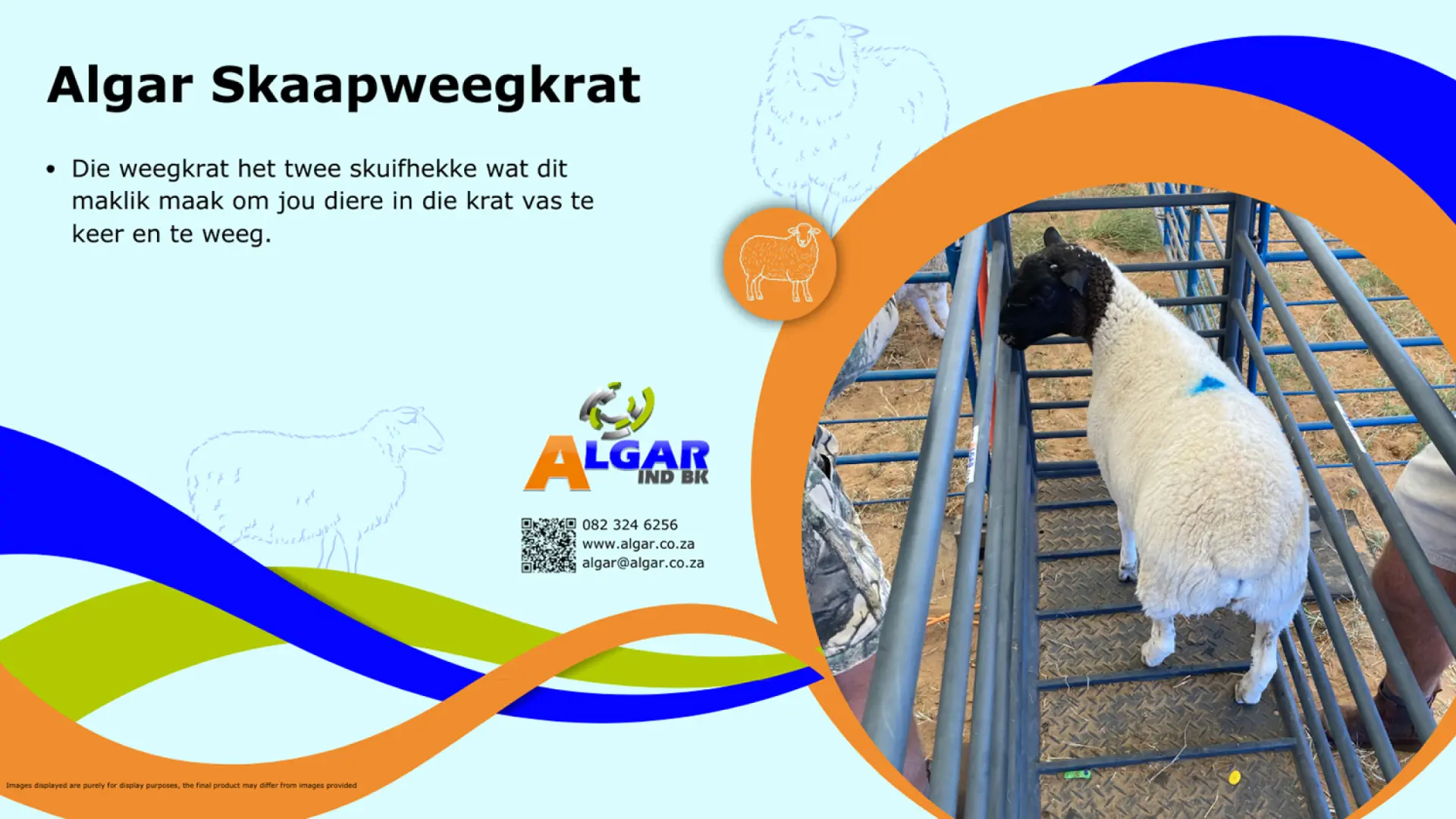 Algar sheep weigh crate / Algar skaapweegkrat
