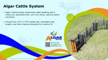 Algar cattle system/ Algar beessisteem