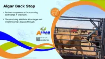 Algar back stop / Algar gangbriek