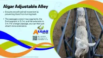 Algar adjustable alley / Algar verstebare-gange