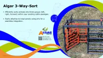 Algar three-way-sort / Algar drie-rigting-sorteer