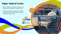 Algar hybrid crate / Algar hibriede krat