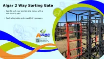 Algar two way sorting gate / Algar twee rigting sorteringshek