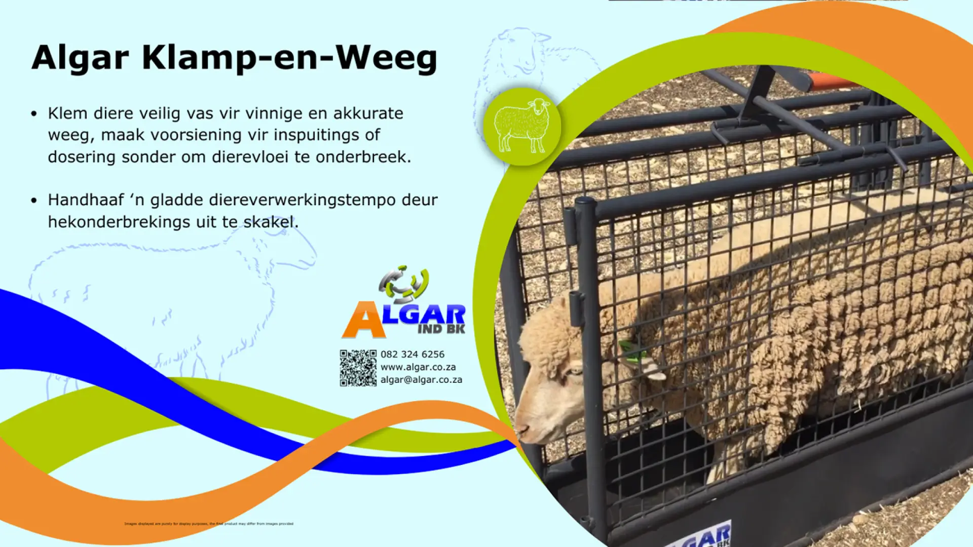 Algar clamp and weigh / Algar klamp en weeg
