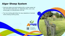 Algar sheep system / Algar skaapsisteem