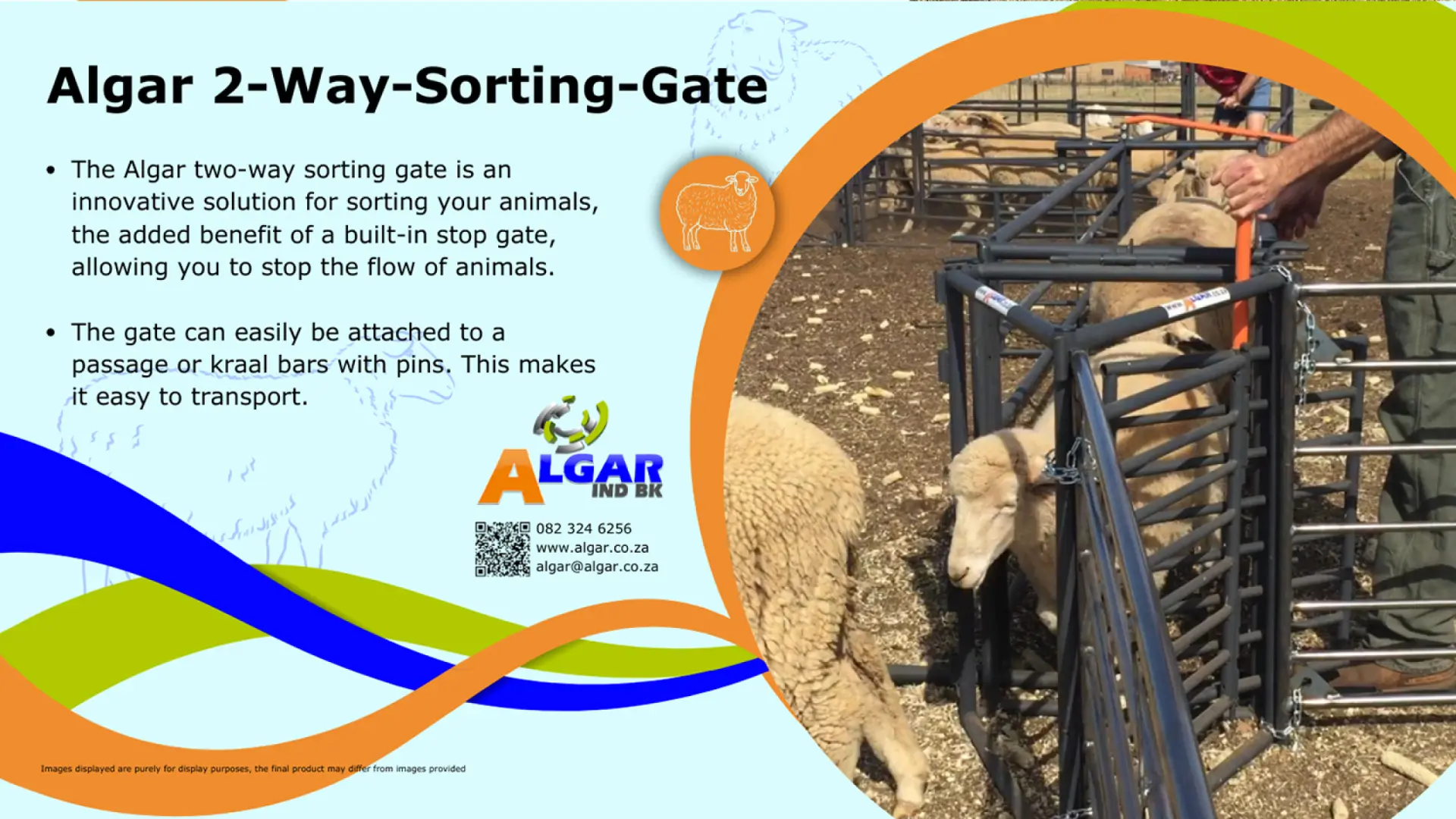 Algar two-way sheep sorting gate / Algar twee-rigting skaap sorteer swaaihek