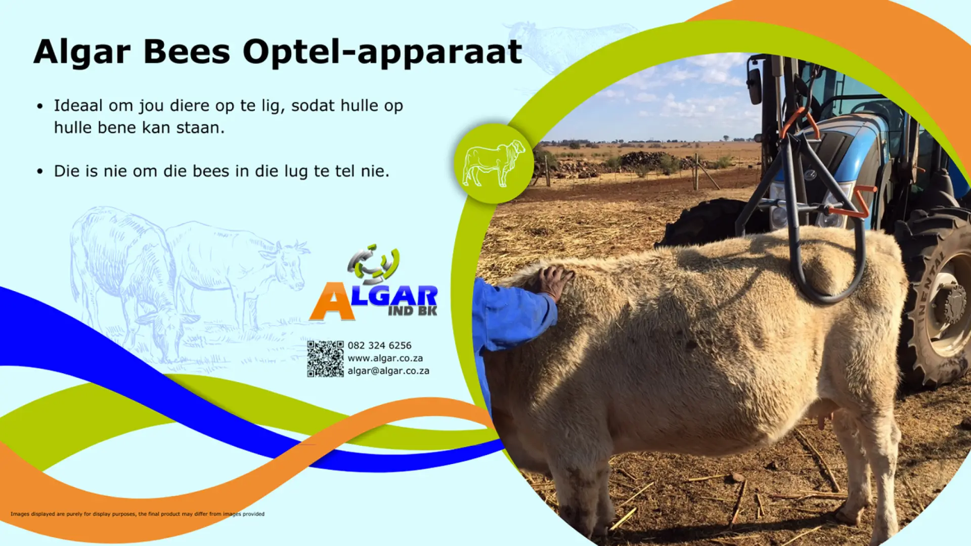 Algar cattle lifting clamp / Algar bees optel-apparaat