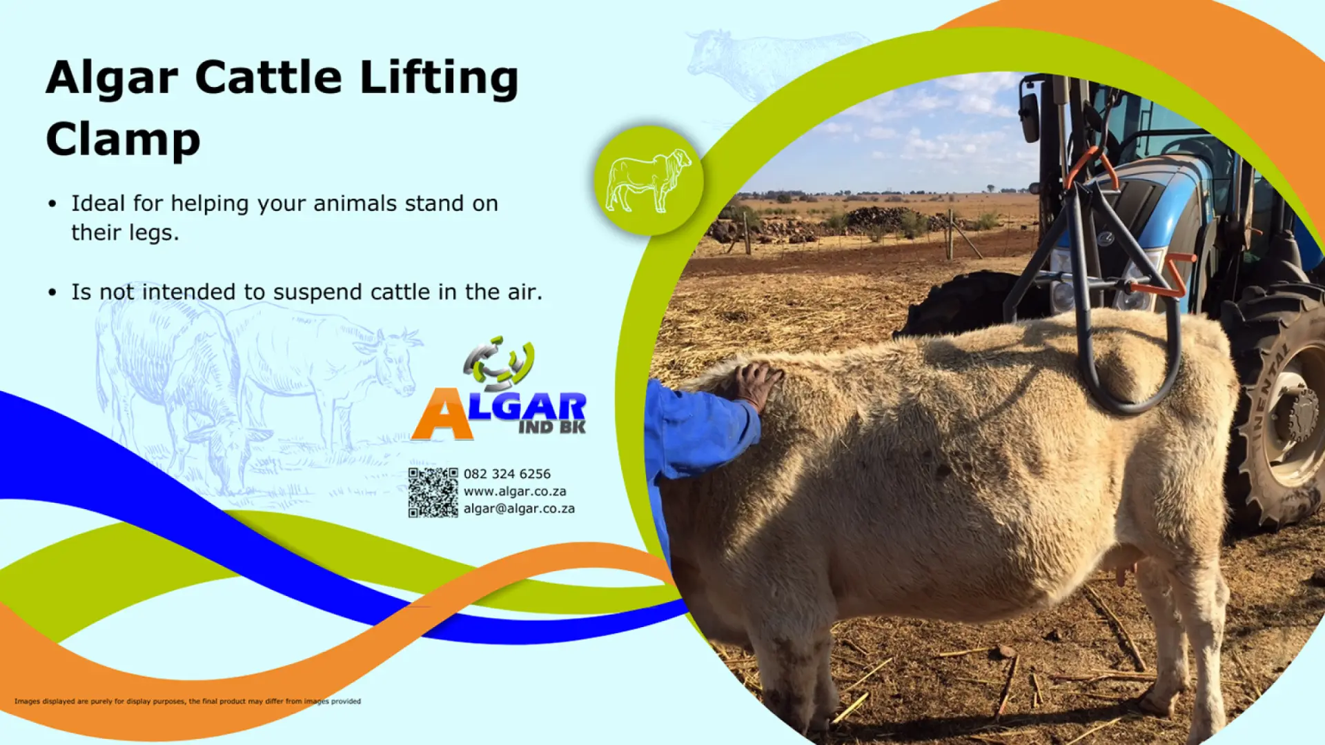 Algar cattle lifting clamp / Algar bees optel-apparaat