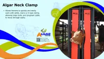 Algar neck clamp / Algar nekklamp
