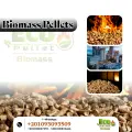 Wood Pellets