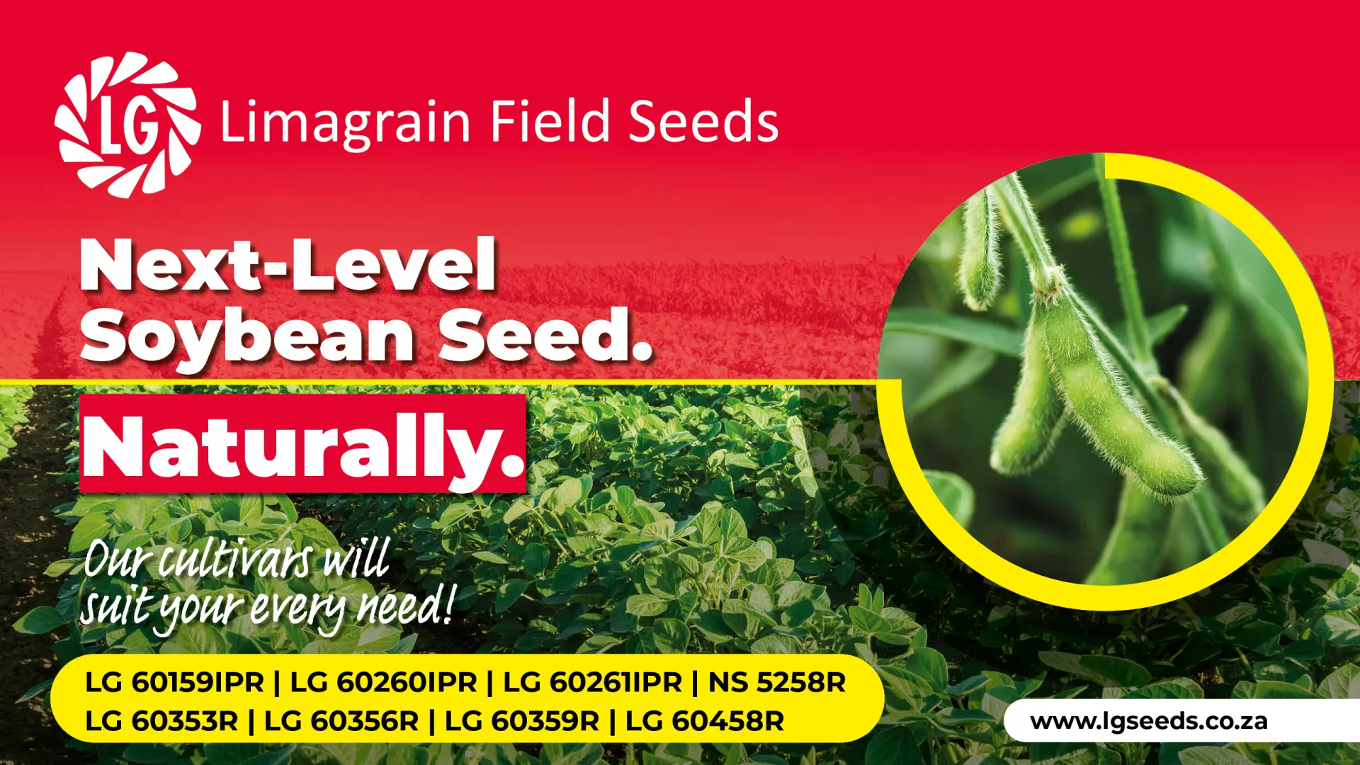 High-performance soybean cultivars | Limagrain Field Seeds South Africa