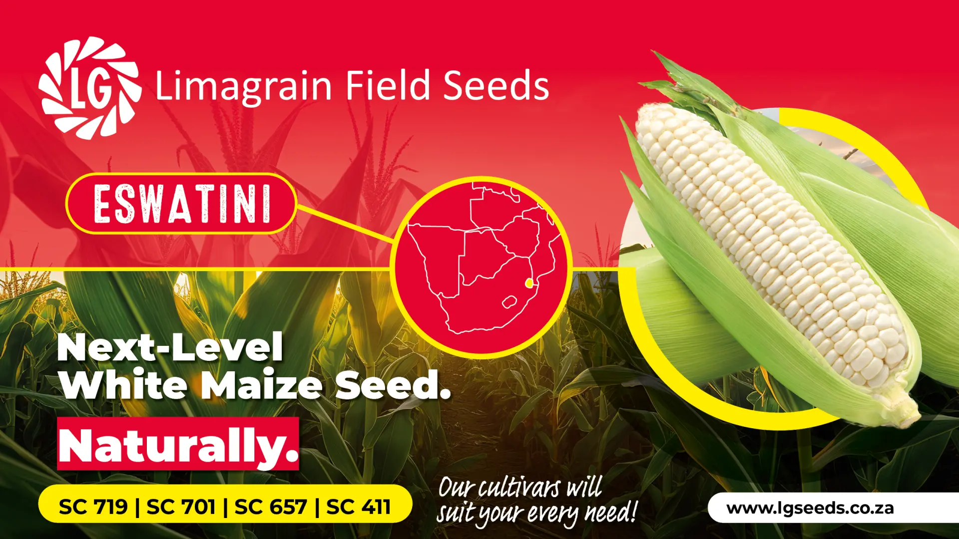 Hardy white maize cultivars | Limagrain Field Seeds South Africa