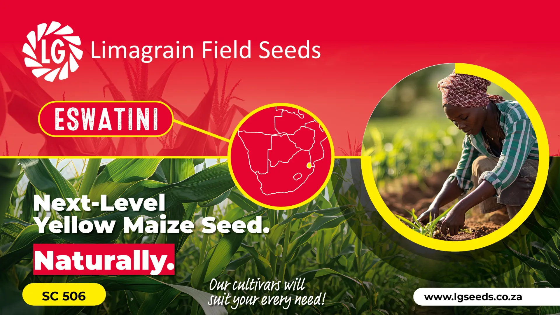 Grain to feed your family and livestock | Limagrain Field Seeds South Africa