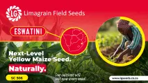 Grain to feed your family and livestock | Limagrain Field Seeds South Africa