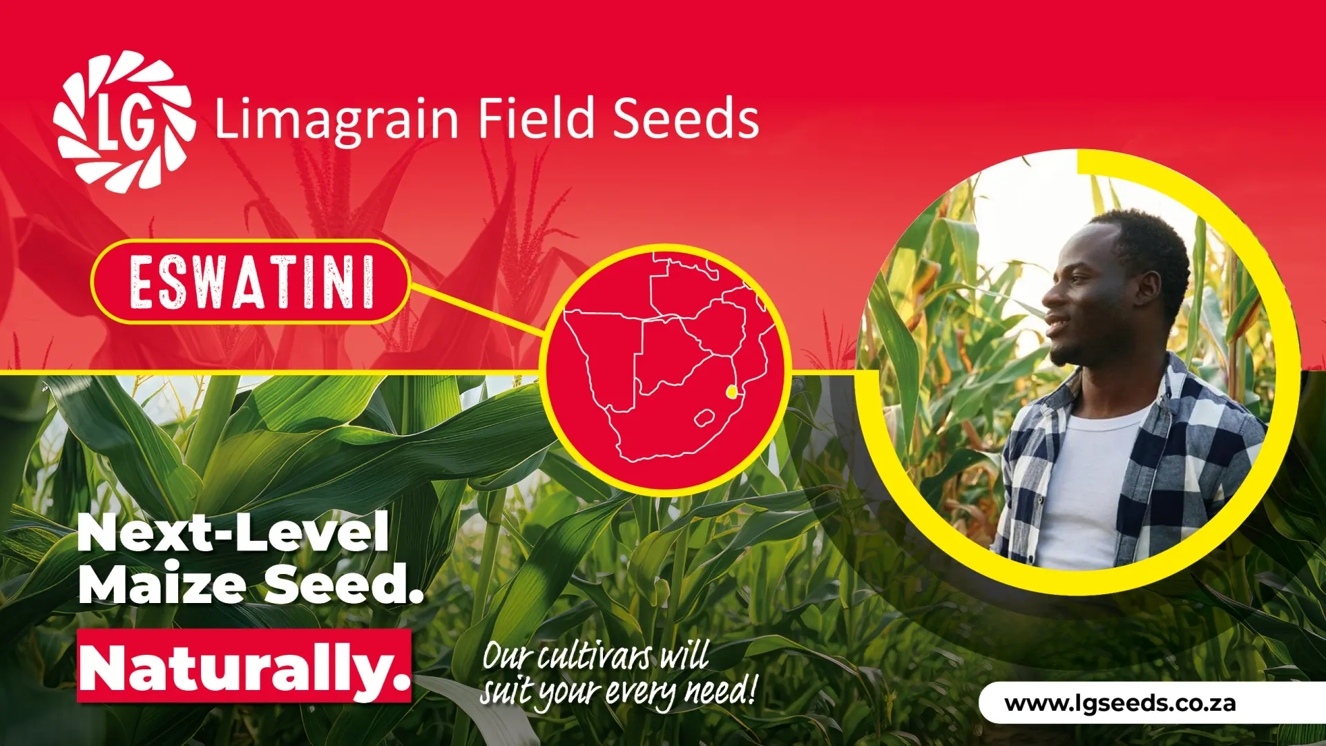 Protect your crop and your food supply this season | Limagrain Field Seeds South Africa