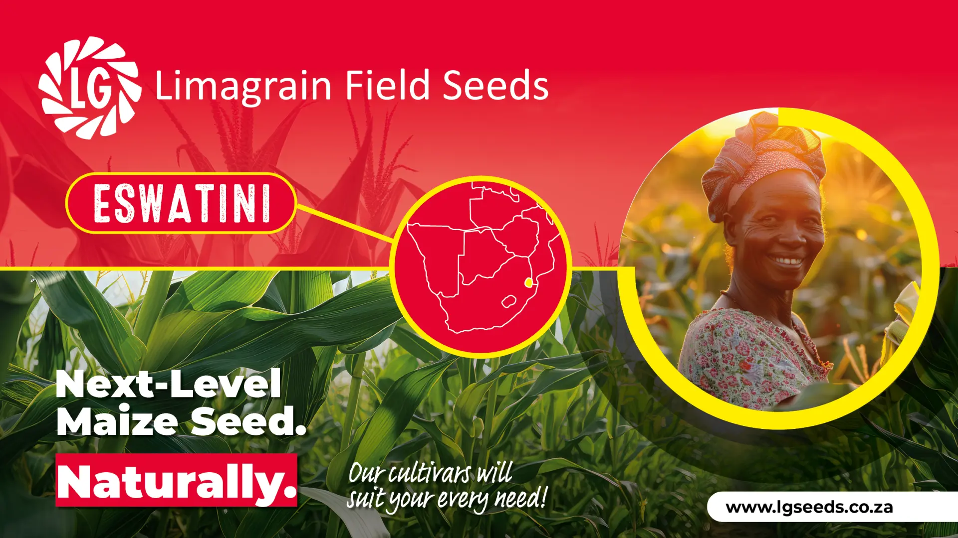 Maize seed that beats the weather and feeds your home | Limagrain Field Seeds South Africa