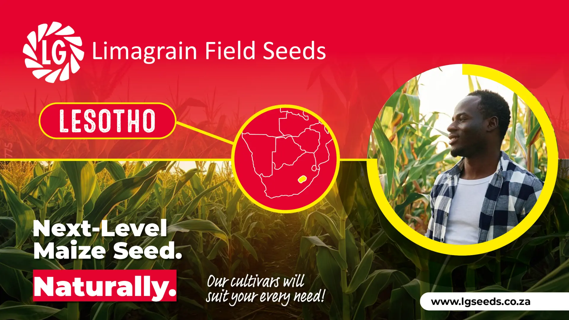 The right seed for Lesotho’s changing seasons | Limagrain Field Seeds South Africa