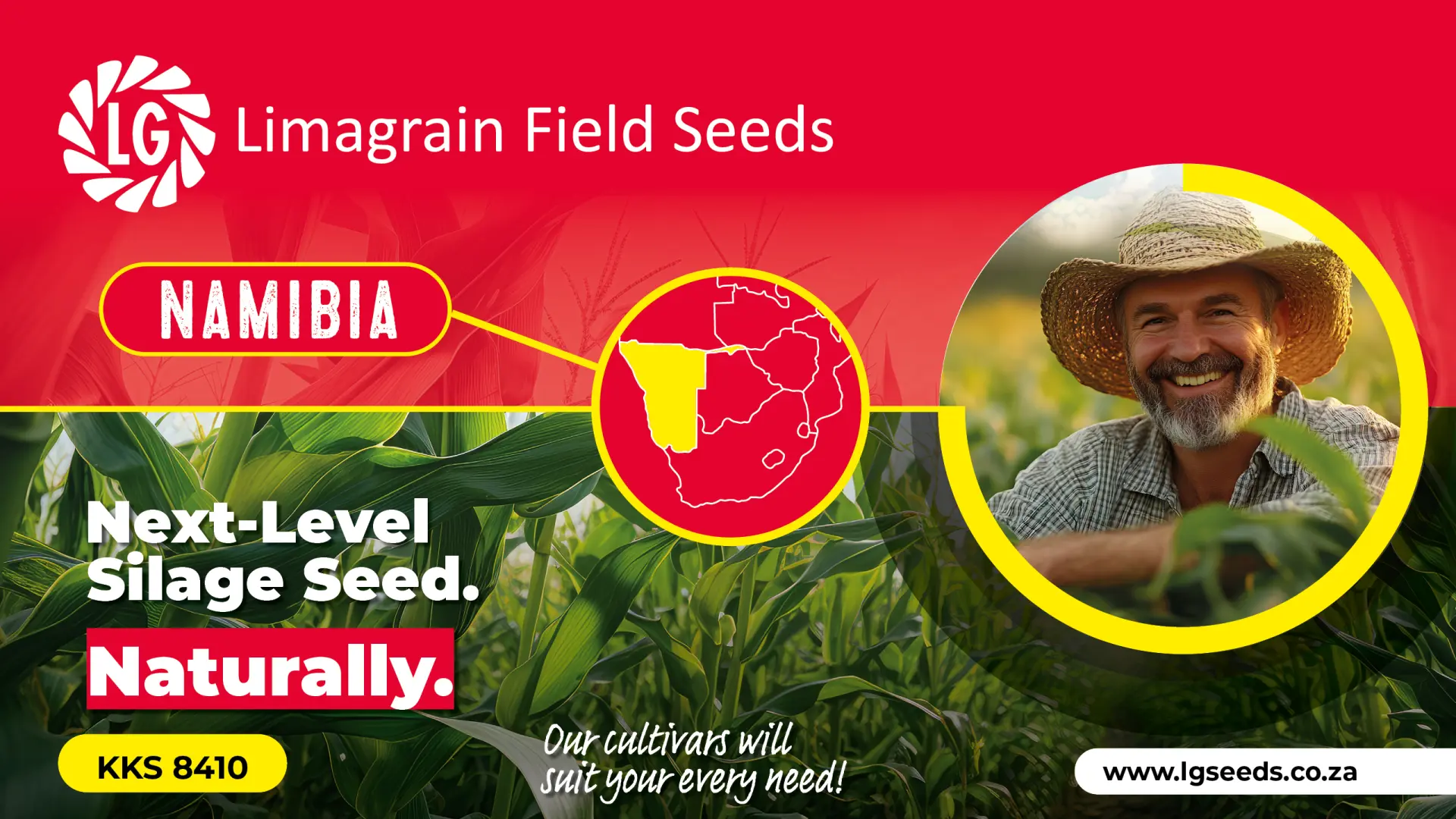 Superior silage yields for reliable livestock feed | Limagrain Field Seeds South Africa
