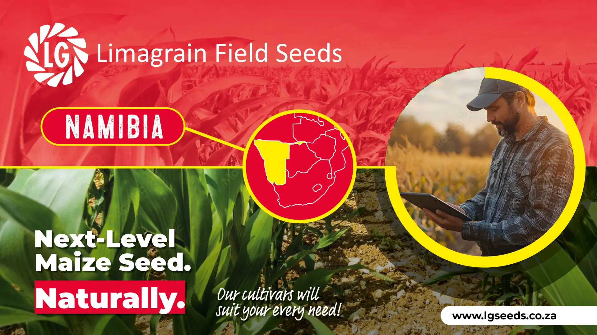 Maize cultivars | The right seed choice from Limagrain Field Seeds South Africa