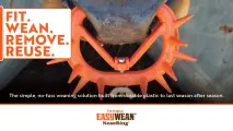 The simple, no-fuss weaning solution built from durable plastic to last season after season | EASYWEAN® NoseRing®