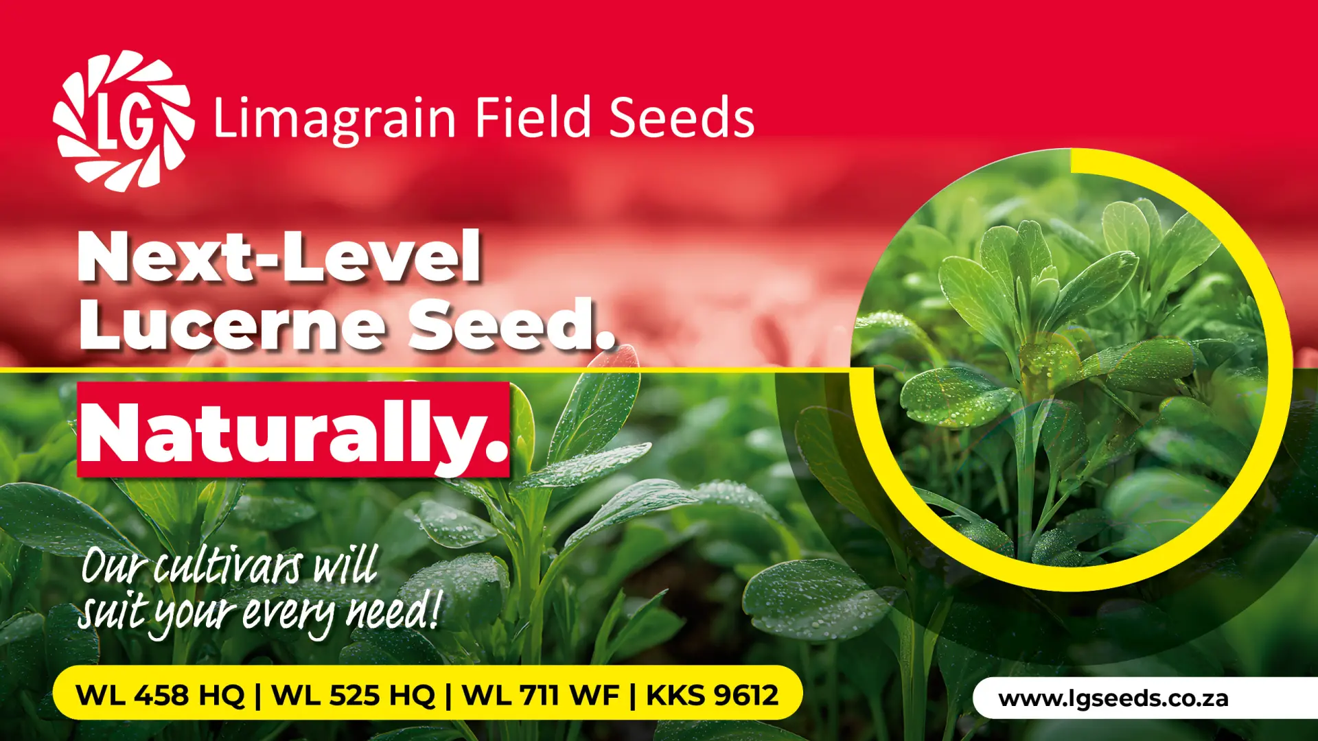 Premium lucerne cultivars | Limagrain Field Seeds South Africa