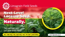 Premium lucerne cultivars | Limagrain Field Seeds South Africa