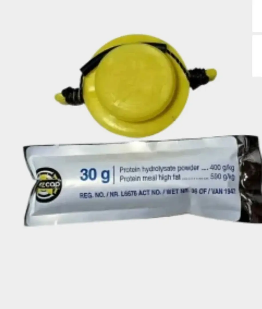 Usable Cap Fly (Baits) | Outdoor Innovation