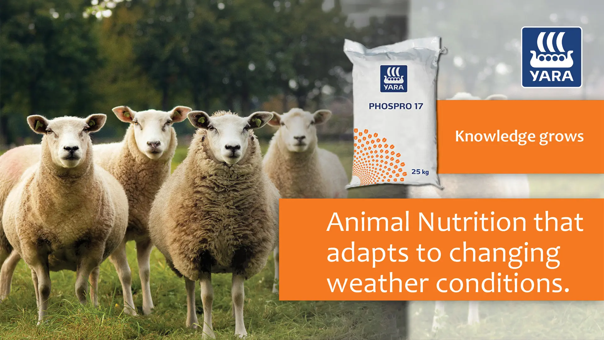 PhosPro 17 animal nutrition that adapts to changing weather conditions | YARA Animal Nutrition