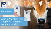 PhosSure 6 and 12 | YARA Animal Nutrition