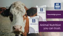 Kimtrafos 6 and 12 Grandé | YARA Animal Nutrition
