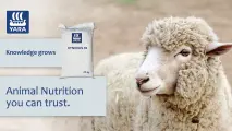 Kynofos 18 Grandé | Animal nutrition you can trust | YARA Animal Nutrition