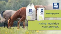 Bolifor® MGP+ animal nutrition you can trust | YARA Animal Nutrition
