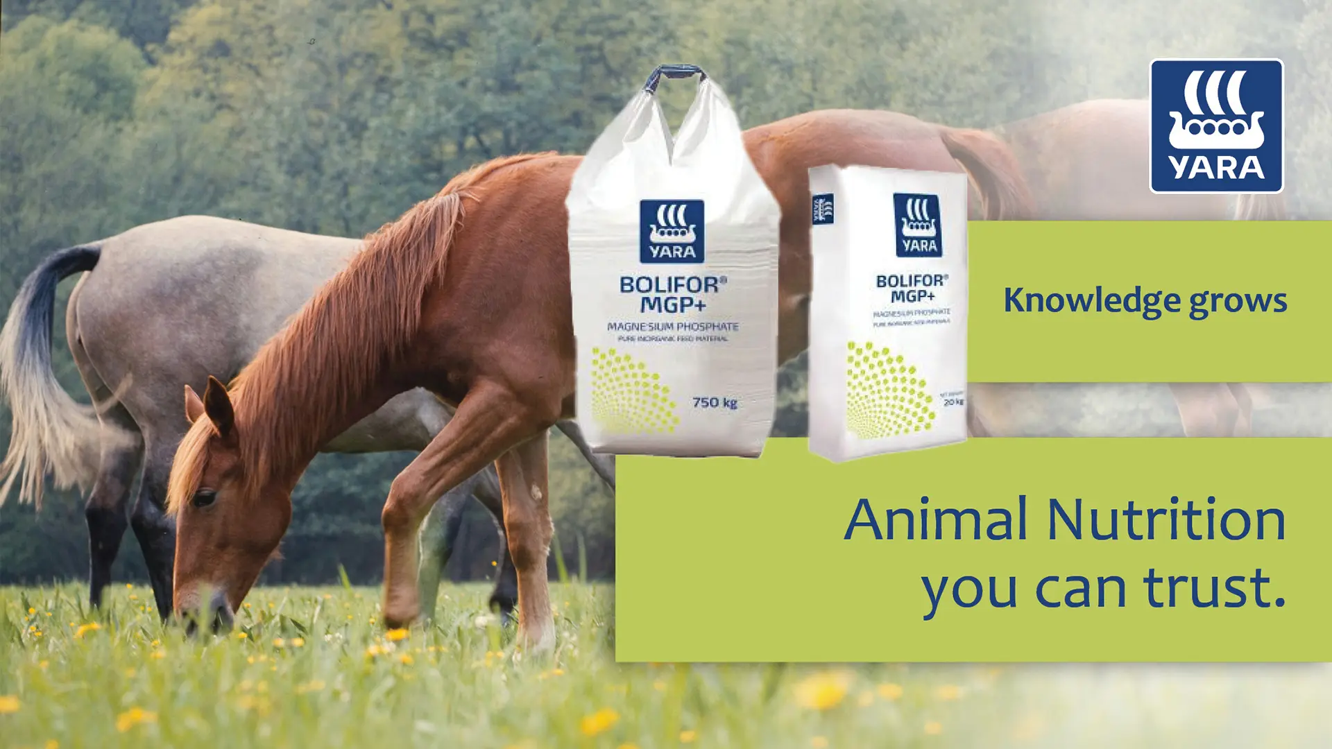 Bolifor® MGP+ animal nutrition you can trust | YARA Animal Nutrition