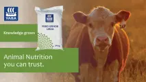 Feed Grade Urea animal nutrition you can trust | YARA Animal Nutrition