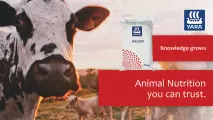 Kalori 3000 animal nutrition you can trust | YARA Animal Nutrition