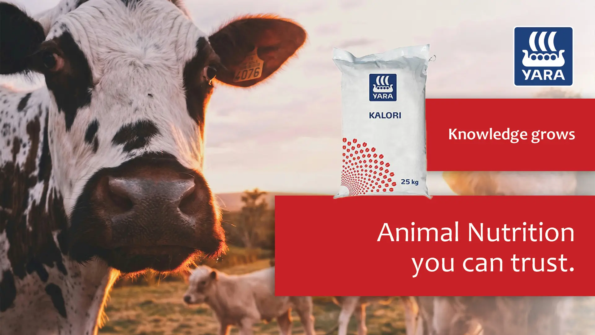 Kalori 3000 animal nutrition you can trust | YARA Animal Nutrition