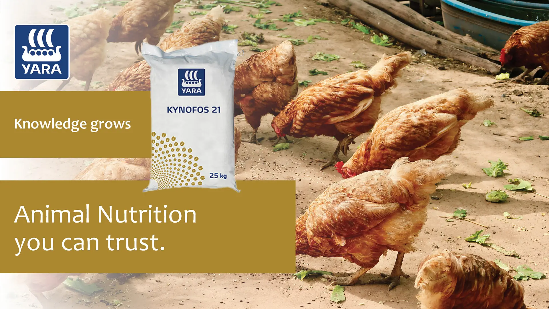 Kynofos 21 animal nutrition you can trust | YARA Animal Nutrition